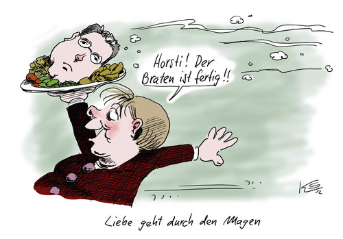Cartoon: Röttgen (medium) by Stuttmann tagged röttgen,merkel,seehofer