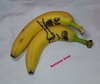 Cartoon: banana love (small) by tobelix tagged banana,love,how,to,make,little,bananas