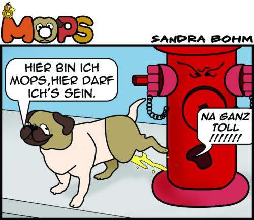 Cartoon: Mops... (medium) by Sandra tagged mops,pet,dog