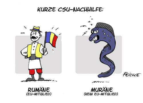 CSU-Rumäne