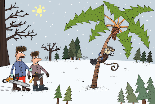 Cartoon: New Year tree (medium) by Sergei Belozerov tagged palm,palme,tannenbaum,weihnachten,weihnachtsbäume,tanne,new,year,tree,christmastree,wald,forest,monkey,affe,holzfällerr