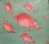 Cartoon: Schweinflugsche Regel (small) by monika boos tagged schweine,fliegen,pigs,fly,physiks