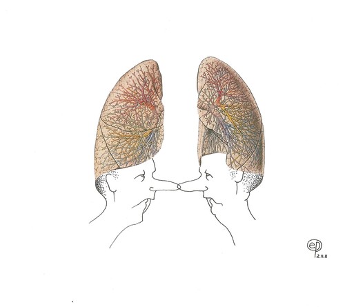 Cartoon: Lungenflügel-Adjutanten (medium) by Erwin Pischel tagged pischel,nase,lungenflügel,lungs,lung,lunge,lungen,flügeladjutanten
