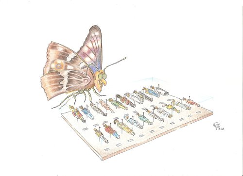 Cartoon: Schmetterlings Sammlung (medium) by Erwin Pischel tagged schmetterlingssammlung,sammlung,vitrine,schmetterling,menschen,pischel