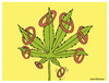 Cartoon: Release of marijuana (small) by martirena tagged marijuana,countries,release