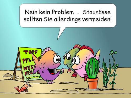 Cartoon: Kakteenfreunde (medium) by wista tagged kakteen,freunde,zucht,kakteenzucht,giessen,wasser,zuviel,zuwenig,blumen,blumenpflege,topf,topfpflanzen,pflanzenpflege,pflege,sukkulenten,stacheln,wasserpflanzen,meer,teich,fische,meeresfrüchte,korallen