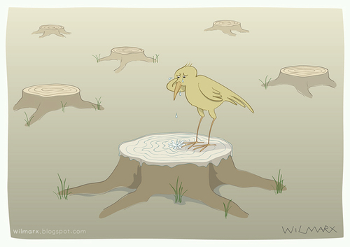 Cartoon: The cry of deforestation (medium) by Wilmarx tagged animal,ecology,deforestation,graphics