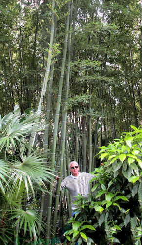 Cartoon: no text (medium) by Miro tagged no,text