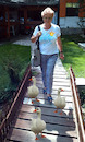 Cartoon: no comment (small) by Miro tagged no,comment