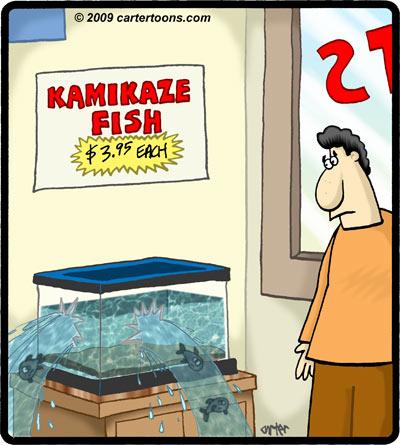 Cartoon: Kamikaze fish (medium) by cartertoons tagged pet,shop,fish,tank,kamikaze,store,water