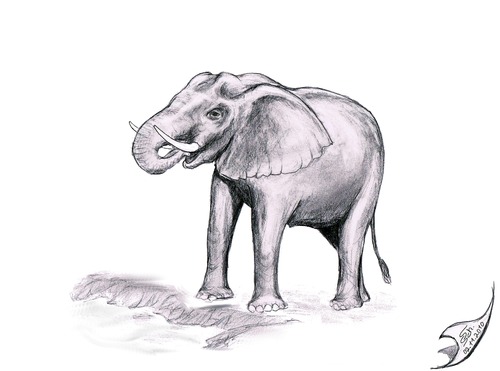 Cartoon: Elefant 2 (medium) by swenson tagged animal,tier,elephant,elefant,afrika,africa,2010