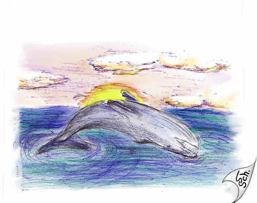 Cartoon: Meer-Bilder von der Arbeit (medium) by swenson tagged see,meer,dolphin,delphin,animal,shark,hai,wal,whale