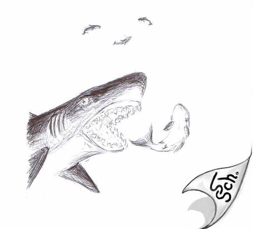 Cartoon: Meer-Bilder von der Arbeit (medium) by swenson tagged see,meer,dolphin,delphin,animal,shark,hai,wal,whale