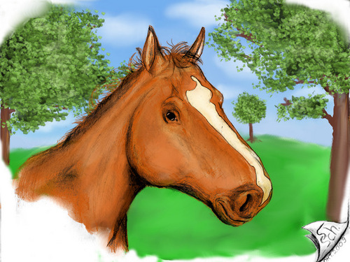 Cartoon: Pferd (medium) by swenson tagged animal,animals,tier,pferd,horse