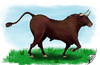 Cartoon: El Torro (small) by swenson tagged stier bull torro buffelo spanien spain animal animals tier