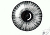 Cartoon: Iris (small) by swenson tagged eye,auge,iris,mensch,human,people,shit,2011,2012