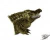 Cartoon: Krokodil 2 (small) by swenson tagged animal animals tier reptil echse krokodil
