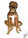 Cartoon: Paul (small) by swenson tagged animal,animals,dog,hund,perro