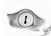Cartoon: The Eye of... (small) by swenson tagged eye,auge,reptil,amphib