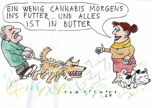 Cartoon: Cannabis (medium) by Jan Tomaschoff tagged cannabis,stress,psyche,cannabis,stress,psyche