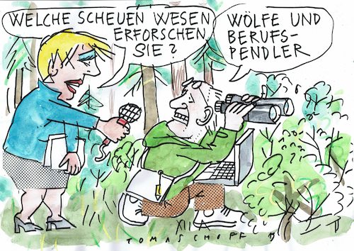 Cartoon: Scheu (medium) by Jan Tomaschoff tagged wolf,pendler,wolf,pendler