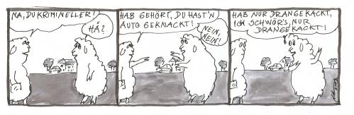 Cartoon: Autoknacker (medium) by nele andresen tagged autoknacker,schafskacke,