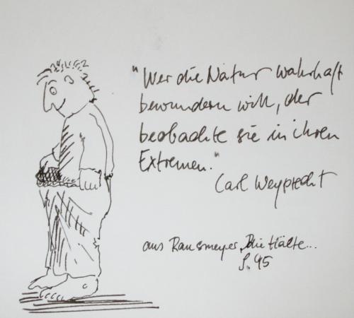 Cartoon: Zitat (medium) by nele andresen tagged eismeer,polarforscher,carl,weyprecht,