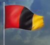 Cartoon: Neue Nationalflagge Deutschland (small) by salinos tagged nationalflagge,flagge,schwarz,gelb,rot,gold,trikolore,deutschland,bundesrepublik,ministerium