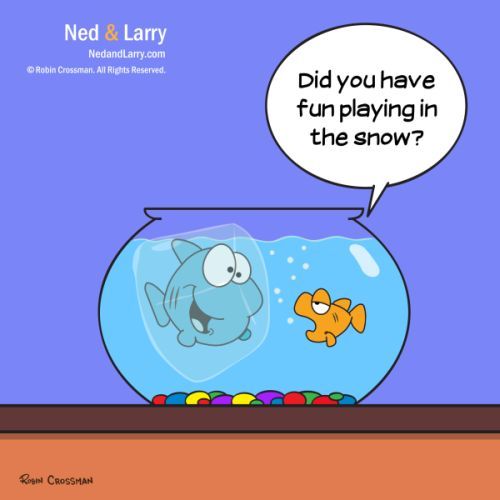Cartoon: Ned and Larry - Snow Day (medium) by NedandLarryComics tagged cartoon,goldfish,funny,snow,winter,comics,comic,fishbowl