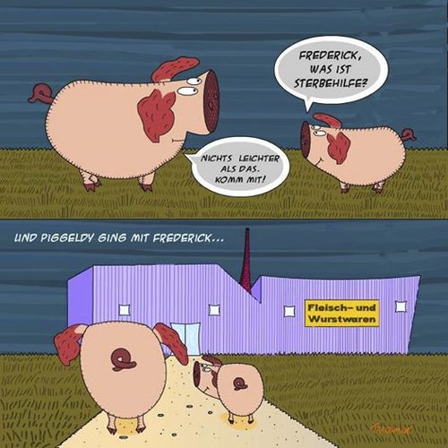 Cartoon: Piggeldy und Frederick (medium) by Tricomix tagged piggeldy,frederick,wurst,fleischwaren,schlachter,tot,schweine,sandmännchen,sandmann,metzgerei,sterbehilfe