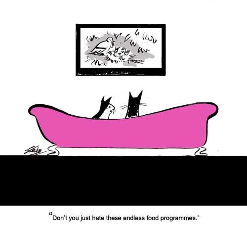Cartoon: Television Banality (medium) by pinkhalf tagged cartoon,cat,animal,television