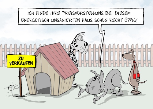 20241118-Hundehuette 20241118-Hundehuette