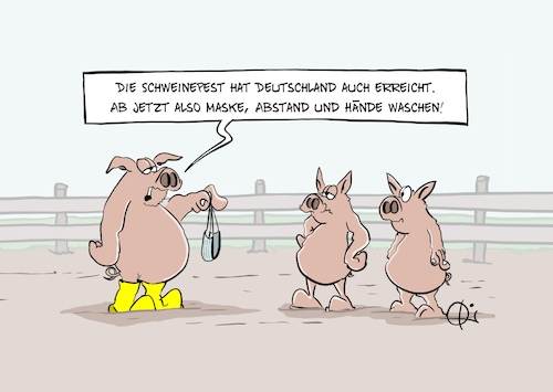 20250615-Schweinepest