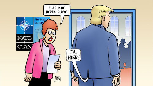 Rutte-Komplimente Rutte-Komplimente