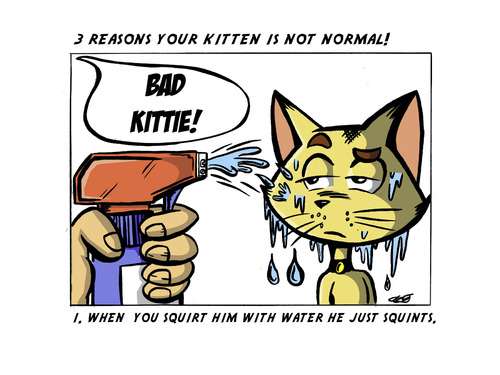 Cartoon: Reasons your kitten isnt normal (medium) by esplesst tagged cats,funny,pets