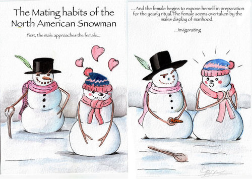 Cartoon: Snowballed (medium) by esplesst tagged snow,man,christmas,adult