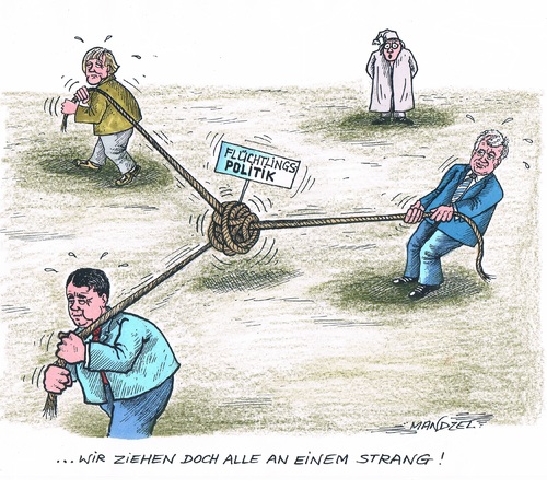 Cartoon: Koalition uneins (medium) by mandzel tagged flüchtlingspolitik,koalition,merkel,seehofer,gabriel,uneinigkeit,flüchtlingspolitik,koalition,merkel,seehofer,gabriel,uneinigkeit