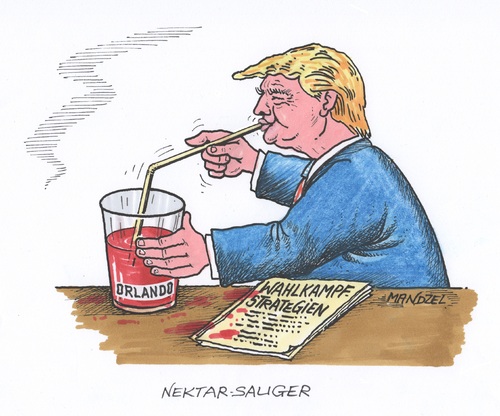 Cartoon: Trump zieht Nutzen aus Orlando (medium) by mandzel tagged wahlkampf,usa,islamist,is,massenmord,orlando,trump,trump,orlando,massenmord,is,islamist,usa,wahlkampf