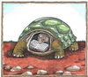 Cartoon: Buchmesse (small) by mandzel tagged buchmesse schildkröte buch