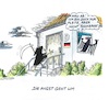 Vogelgrippe (small) Cartoon: Vogelgrippe (small) by mandzel tagged vogelsterben,deutschland,finanzen,bundesadler