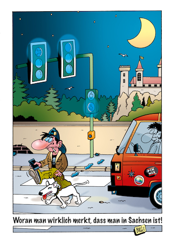 Cartoon: Sachsen (medium) by stefanbayer tagged wahlen,sachsen,parteien,hochburgen,afd,koalitionen,ampelkoalition,grüne,gelbe,rote,politik,ampel,blau,bay,stefanbayer