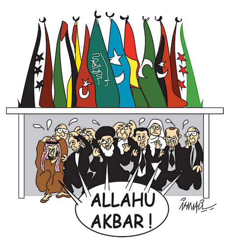 Cartoon: islamic summit (medium) by ismail dogan tagged islamic,summit