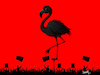 Cartoon: Flamingo Revolution (small) by ismail dogan tagged albania