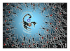 Cartoon: Scorpions (small) by ismail dogan tagged netanyahou