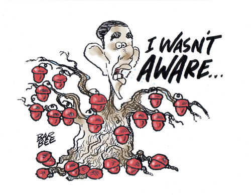 Cartoon: ACORN (medium) by barbeefish tagged obama