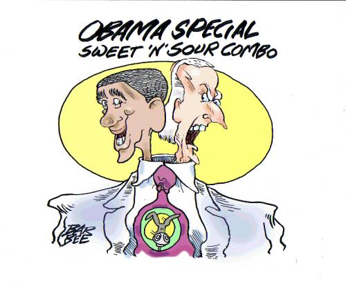 Cartoon: VEEP (medium) by barbeefish tagged biden,obama