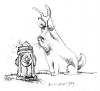 Cartoon: Bacteriophobic Dog (small) by ian david marsden tagged phobia neurosis dog pets psychosis hydrant 