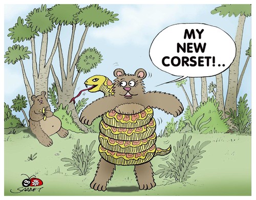 Cartoon: Corset... (medium) by saadet demir yalcin tagged saadet,syalcin,sdy,turkey,humormagazine,cartoon