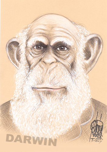 Cartoon: DARWIN (medium) by T-BOY tagged darwin