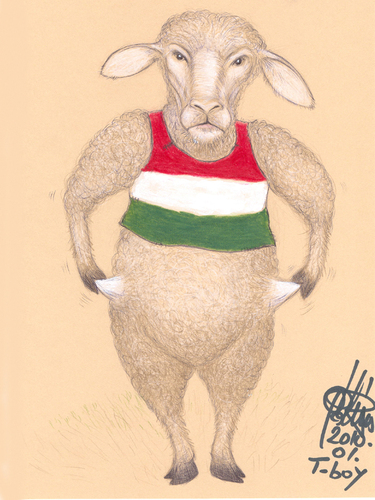 Cartoon: SHEEP (medium) by T-BOY tagged sheep